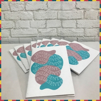 Diário dos Sentimentos